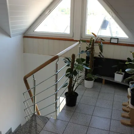 In * Montabaur